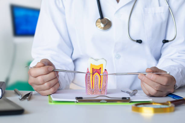 Best Pediatric Emergency Dentist in Tenaha, TX